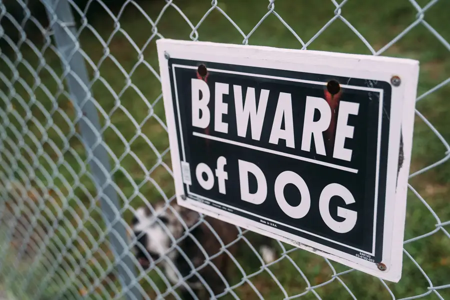 A dog behind a fence with a "Beware of Dog" sign